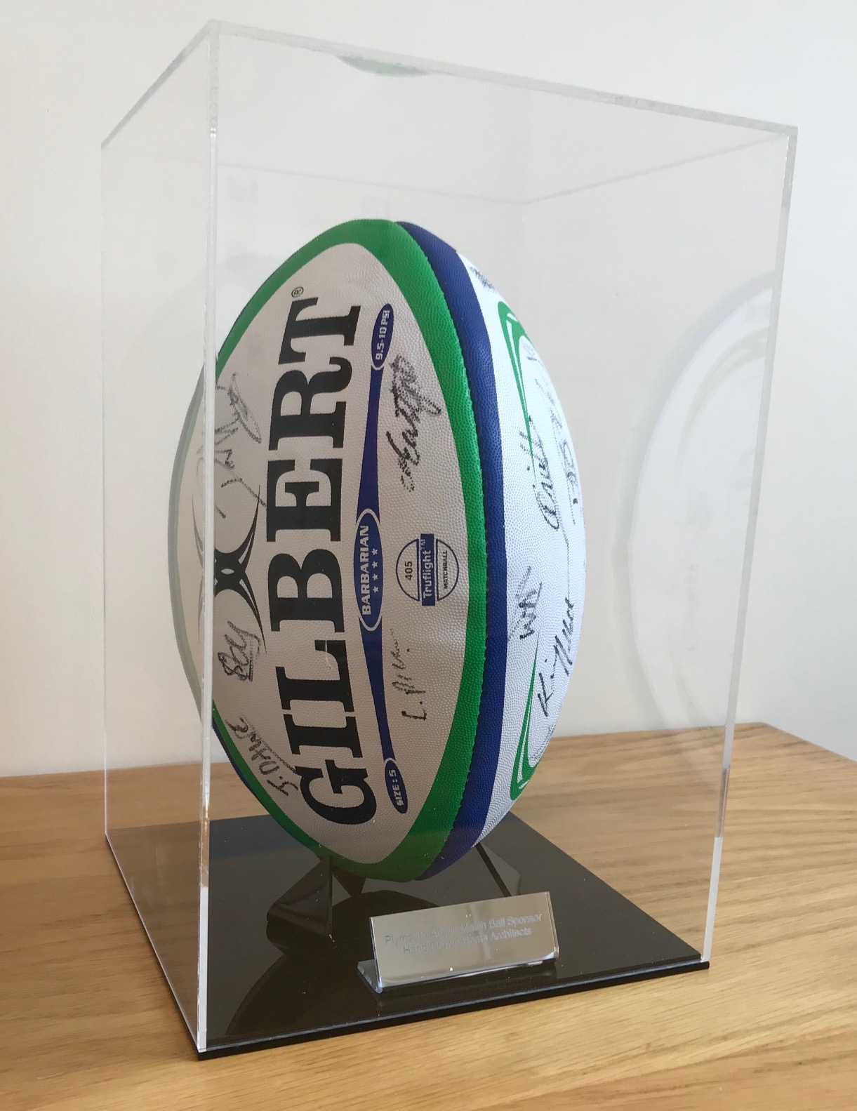 Plymouth Albion Ball Sponsor